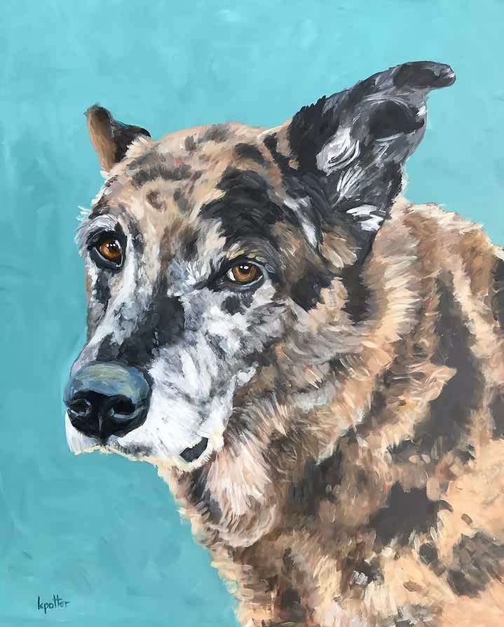 pet portrait business launch portfolio